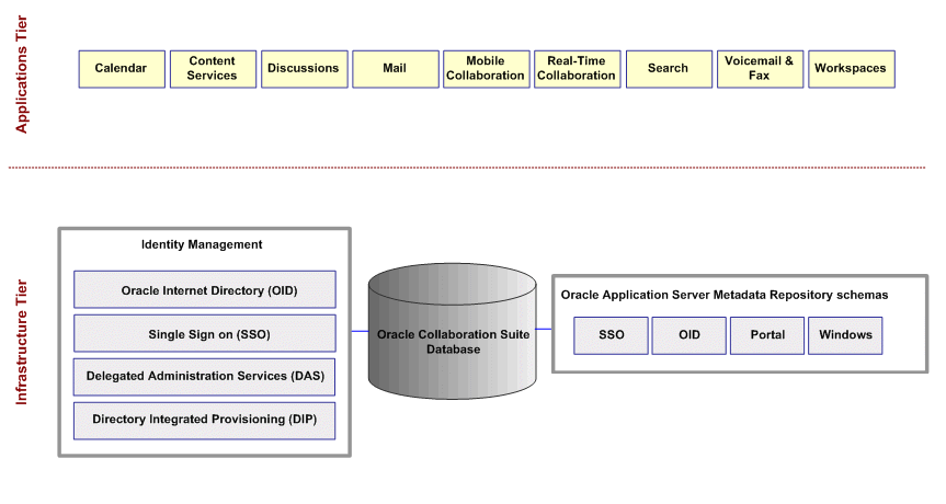 The web conferencing application window.
