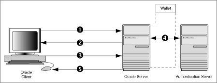 SSL_with_Other_Authentication_Methods